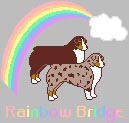 rainbowbrdg.jpg